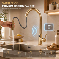 Robinet de cuisine intelligent personnalisable à écran tactile, en acier inoxydable SUS304, avec affichage numérique, extractible, finition or brossé, pour projets