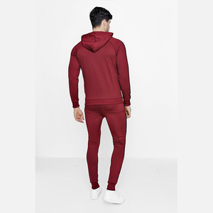 Conjunto Deportivo Azul Marino para Hombre con Capucha, Cierre de Cremallera, Sudadera y Pantalones de Poliéster de Color Sólido, Corte Regular, Otoño - Product Image 5