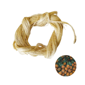 Grande Vente Promotionnelle : Fibres de Feuilles d'Ananas Naturelles de Qualité Supérieure, Fabriquées au Vietnam, Conditionnées en Sac de 5 kg - Product Image 1