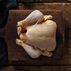 Pollo Entero Congelado, Proceso de Congelación IQF, Calidad Premium, Envasado al Vacío, Caffeinated Royal Trading, Mejor Precio, 24 Meses de Duración - Product Image 1