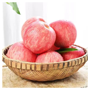 Manzanas rojas frescas Fuji al por mayor para supermercados, cadenas de tiendas de comestibles y mercados de exportación - Product Image 2