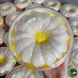 Nido de Pájaro Comestible Hecho con Material Natural de Nido de Golondrina Seco para Preparación de Sopas y Postres 99 Dold Data de Vietnam - Product Image 5