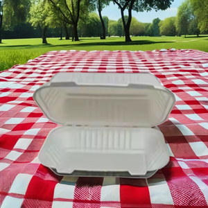 Récipient alimentaire à clapet biodégradable 9x6 boîte à lunch jetable en bagasse de canne à sucre pour la restauration et les services de repas éco-conscients - Product Image 1