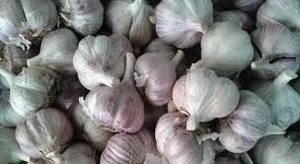 Ajo Deshidratado Premium – Sin Aditivos, Deshidratación Natural, Alta Calidad // Mr.Tom - Product Image 6