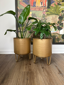 Macetero de Metal Martillado con Soporte Dorado Claro Mate, Maceta Decorativa Moderna para Plantas de Interior, Sala de Estar, Oficina - Product Image 6