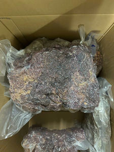 Mousse de mer pure pour le bien-être – Superaliment riche en minéraux - Product Image 2