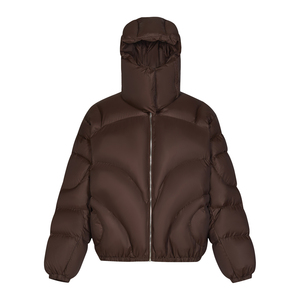 Veste matelassée légère pour homme, résistante à l'eau, à capuche, coupe-vent, fermeture éclair solide, manteau d'hiver, vêtements de sport de plein air, streetwear, vêtements d'extérieur - Product Image 1