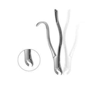 Clinical extraction <b>tool</b> designed for dentists offering firm hold and <b>smooth</b> handling in tooth removal procedures Dental Forceps - Product Image 3