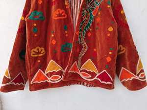 Blazer d'hiver Soleil Souriant Mythique, veste en velours indien faite à la main avec broderie Suzani Dragon, manteau bohème pour femme - Product Image 3