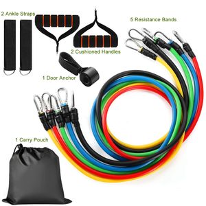 Set di 11 Pezzi di Bande Elastiche per Fitness e Allenamento con Resistenza fino a 100 libbre - Product Image 2