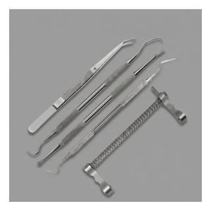 Kit Profesional de Limpieza Dental para Perros de Acero Inoxidable, 5 Piezas, Instrumentos Veterinarios para Limpiar los Dientes de Mascotas Grandes - Product Image 2