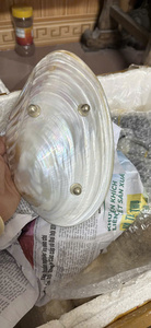 Hot Sale Seashell Tray Mother of Pearl Plate Natural Polished <b>Shell</b> Caviar Dish Elegant Craft Gift Wholesale - Product Image 3