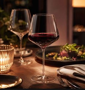 Verre à dégustation de vin haut de gamme, événements de dégustation de vin, fabricant indien au meilleur prix, verre à vin en borosilicate - Product Image 2