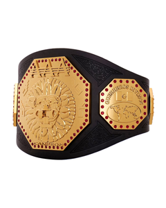 Ceinture de championnat de sport en acier inoxydable personnalisée Surtechs Wholesale avec plaque métallique vierge et logo personnalisé - Product Image 5