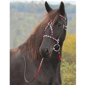 Têtière en cuir noir avec clous verts, réglable, pour l'équitation - Product Image 4
