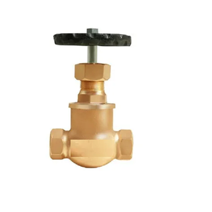 1 Válvula de globo de 1/2 pulgadas Bronce B61 Ajuste del capó Control manual para agua 200 LB Clasificación de diseño Soporte personalizado OEM - Product Image 5