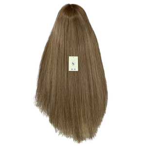 วิกผมคุณภาพสูงแบบมีรากผมเสมือนจริง วิกผมลูกไม้ปิดหน้าผาก ผมเวียดนามแท้ วิกผมสวิส ไฮไลท์ผมมนุษย์เวียดนาม ผมตรงธรรมชาติ - Product Image 1