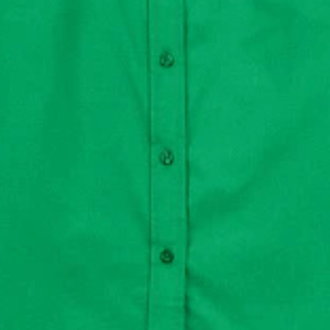   Chemise à manches longues pour femmes, facile d'entretien, couleur verte, boutonnée devant, chemisier décontracté pour le travail, mélange de coton, tenue de bureau formelle, mode féminine - Product Image 3