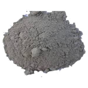 Fournisseur Botanique Certifié : Poudre d'Extrait de Saraca Indica, Matière Première Standardisée pour Formulations Ayurvédiques, Vente en Gros - Product Image 3