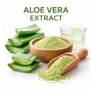 Extracto de Aloe Vera Premium, Extracto de Hoja de Aloe Barbadensis en Polvo, Extracto de Aloe Vera Herbal Natural para Suministro a Granel - Product Image 2
