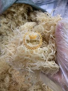 MOUSSE DE MER SÉCHÉE PREMIUM DU VIETNAM MOUSSE DE MER SAINE DU VIETNAM Eucheuma Cottonii Salade de mousse de mer naturelle biologique - Product Image 6