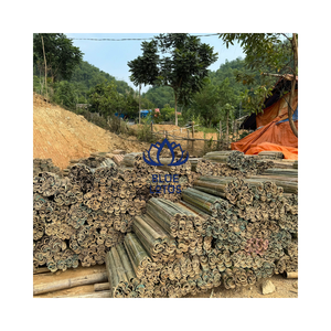 ฟาร์มบลูโลตัส ไม้ไผ่พรีเมียม ครึ่งเส้น ผิวเรียบ ขายส่ง - Product Image 1