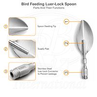 Cuillère d'alimentation réutilisable en acier inoxydable pour oiseaux avec connecteur Luer-Lock 2" x 0.8" compatible avec toutes les seringues