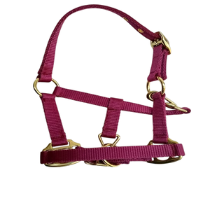 Custom Made Red Nylon Rope Horse Halter <b>Adjustable</b> <b>Strap</b> Durable High Quality Premium Fittings Equestrian Racing Riding - Product Image 3
