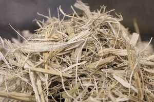 PELLETS DE BAGAZO VIETNAMITA LIDERAN LA REVOLUCIÓN DEL BIOCOMBUSTIBLE ECOLÓGICO SOSTENIBLE - Product Image 2