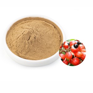 Extracto de Guaraná Premium en Polvo 10:1, Extracto Natural de Semilla de Paullinia Cupana para Productos Herbales, Nutracéuticos, Energéticos y Alimentos Funcionales - Product Image 3