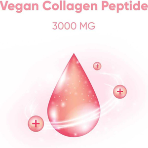 OEM/ODM Sugar free essential collagen solution support skin whitening smooth skin remove wrinks vegan collagen peptide jelly - Product Image 2