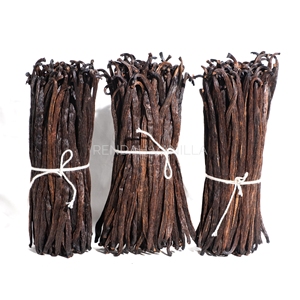 Planifolia Vanilla Beans - Grade 3 - 20-22 cm Meilleure qualité Bourbon en vrac pour l'extraction, vente chaude, meilleur prix d'Indonésie - Product Image 1