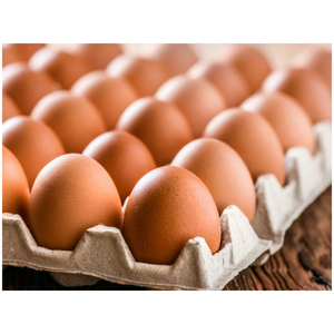 Œufs de poule frais de première qualité, œufs de poule brun frais de table, œufs de poule frais de table bon marché en vrac - Product Image 3
