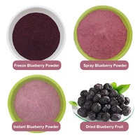 Poudre de Myrtille Lyophilisée 100% Pure en Vrac Xian Pincredit