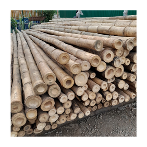 Pôles en bambou écologiques pour la construction et la décoration durables - Product Image 2