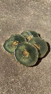 Resin Coaster Set With Smooth Finish Surface For Elegant Drink Presentation And Long Lasting <b>Table</b> Safety <b>Protection</b> - Product Image 2