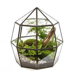 Terrarium pyramidal élégant, écologique, décoratif, transparent, pour plantes d'intérieur, succulentes, plantes aériennes, miniatures - Product Image 4