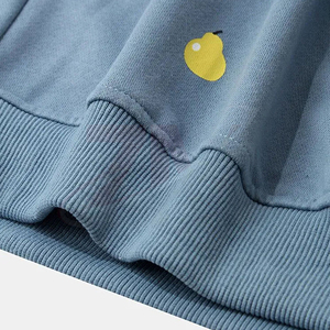 Sweat-shirt col rond femme bleu avec broderie fruits et lettres, décontracté, tricoté, 100% coton, coupe classique, automne - Product Image 5