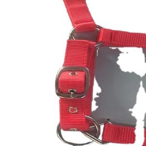 Kanpur Fabricant Vente en gros directe de haute qualité Selle anglaise personnalisée Cheval licou Nylon Web Équipement d'équitation - Product Image 1