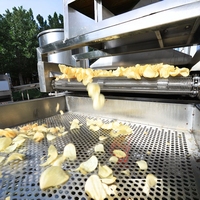 Aanpasbare 304 Food-Grade Roestvrijstalen Frietchips Die Machine Automatische 100Kg Lijnproductie Maken