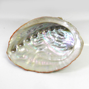 Dried clean <b>abalone</b> sea <b>shell</b> beach decor ornament & sage burning manufacturer cost natural seashell - Product Image 4