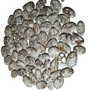 Turquesa Natural de Calidad AAA+ en Cabujón, Tamaño Libre de 20-45 mm, 8-12 g, Piedra Preciosa Suelta para Joyería Curativa - Product Image 2