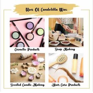Cire de Candelilla de qualité cosmétique supérieure CAS 8006-44-8, matière première cosmétique utilisée pour les rouges à lèvres et exportée d'Inde - Product Image 4