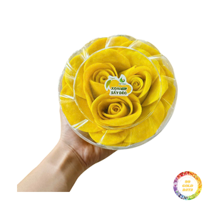 Tranches de mangue séchées moelleuses avec une douceur équilibrée et une texture tendre, conçues pour l'emballage en gros B2B et le commerce international - Product Image 6