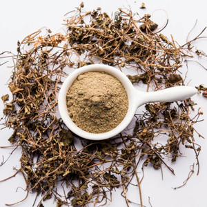 GMP Certified Bhringraj Powder (Eclipta Alba) | Food Grade Herbal Powder | Natural <b>Plant</b>-Based | <b>Dried</b> | 99% Purity | Bulk - Product Image 2