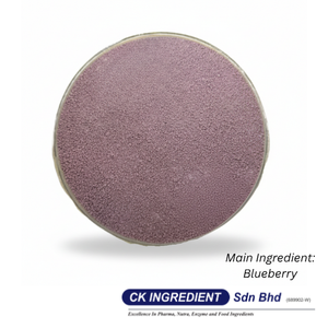 Polvo de Jugo de Arándanos de Primera Calidad, Halal, OEM, B2B, Mejor Proveedor Garantizado, Natural, Salud Ocular, Antioxidante, Superalimento - Product Image 6