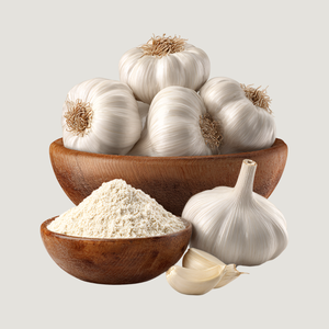 Poudre d'extrait sec d'ail pour applications culinaires professionnelles, unités de transformation alimentaire et besoins en matière de développement de saveurs - Product Image 3