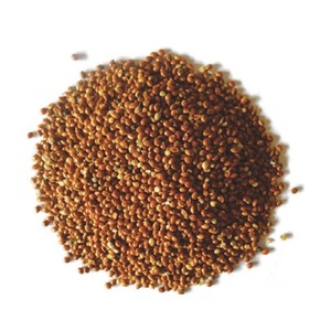 Millet Rouge Nutritif de Haute Qualité, Grains Entiers, Idéal pour les Repas Sains, la Transformation Alimentaire et les Lignes de Produits d'Épicerie au Détail - Product Image 6