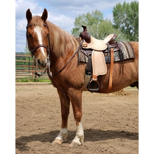 Selle de cheval western en cuir véritable sur mesure, selle d'équitation de cowboy haut de gamme avec outillage décoratif, étrier OEM - Product Image 6