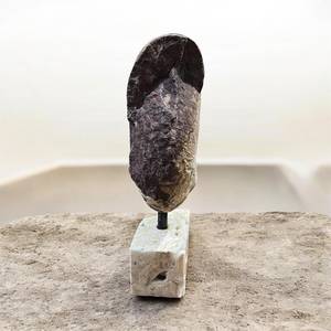 Spécimen minéral brut d'ammonite naturelle avec support en calcite, artisanat et objet de collection - Product Image 5